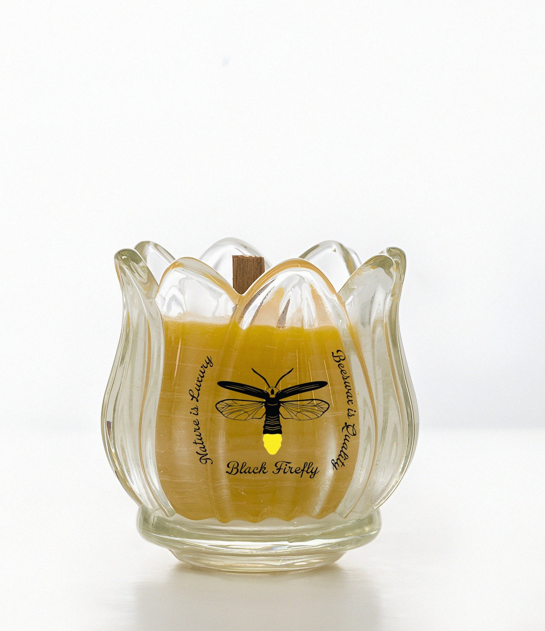 ( 8 ) 4oz + ( 1 ) 8oz Deluxe Box