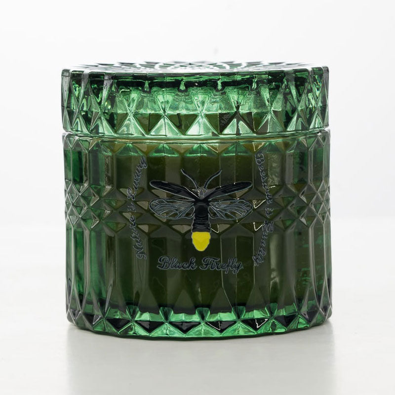 Hills of Daintree Rainforest - Glass Candle